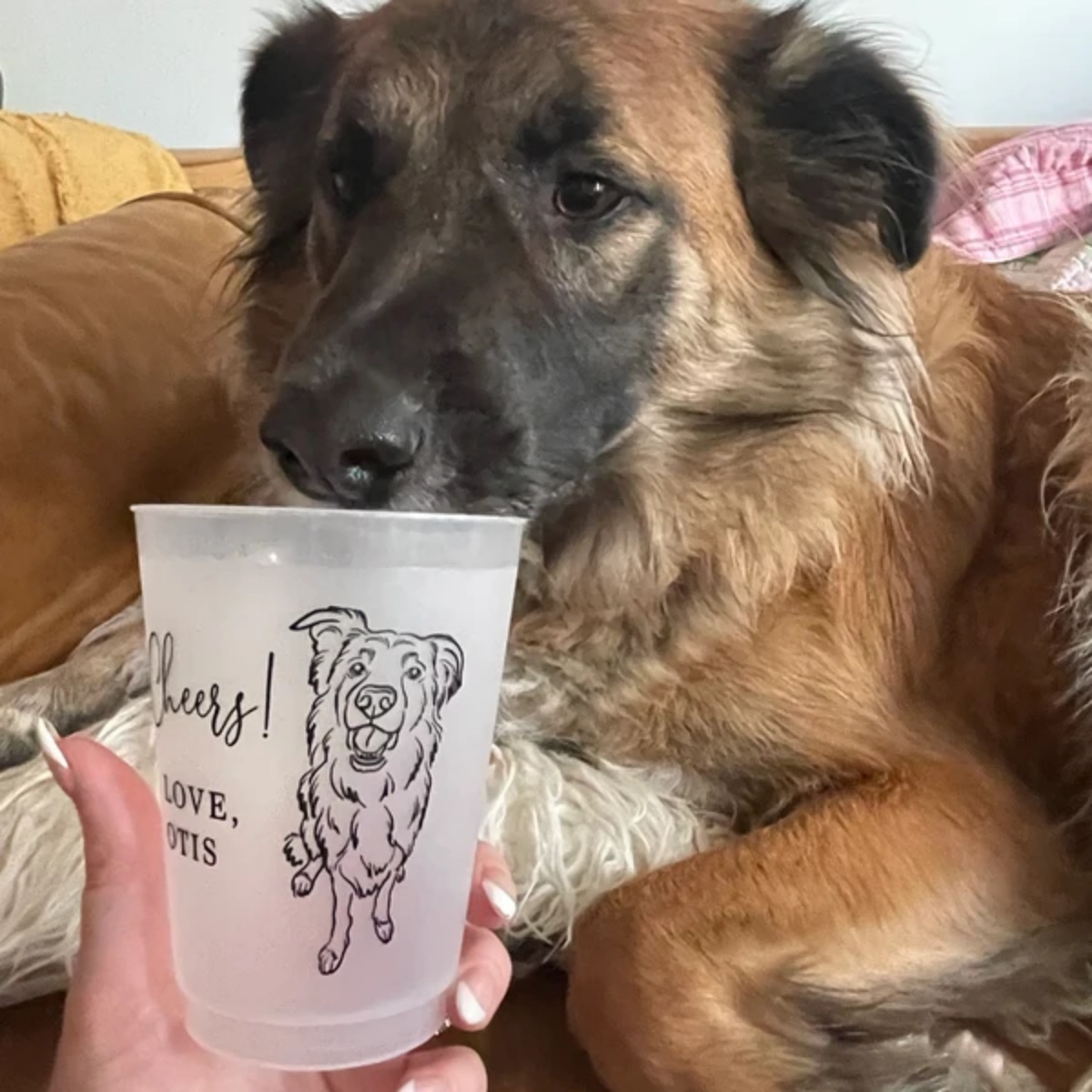10/50 個別名入りシニアフォトフロストカップ カスタム名 - Plastic Cup 50Pcs のレビューと価格